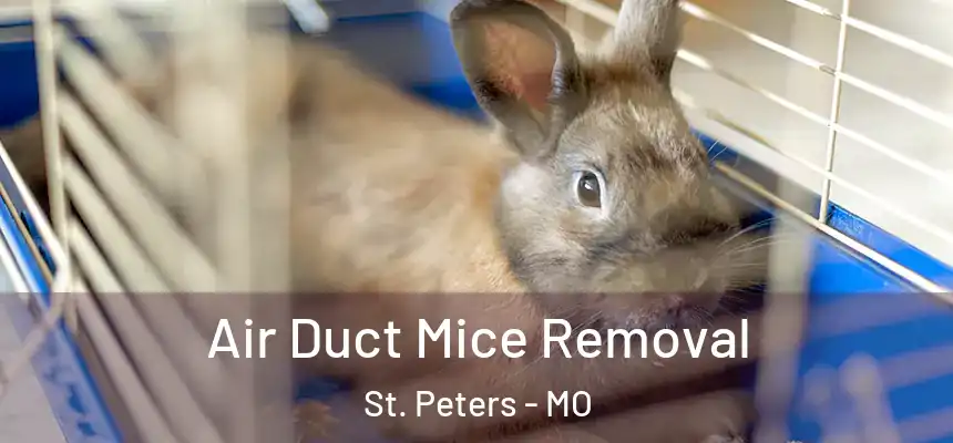  Air Duct Mice Removal St. Peters - MO