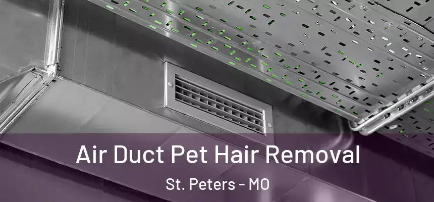  Air Duct Pet Hair Removal St. Peters - MO
