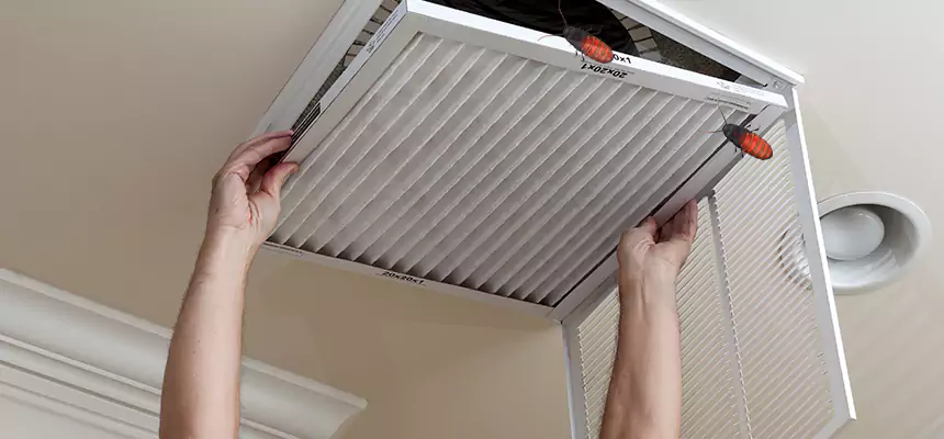 Preventive Cockroach-Proofing for Ducts in St. Peters