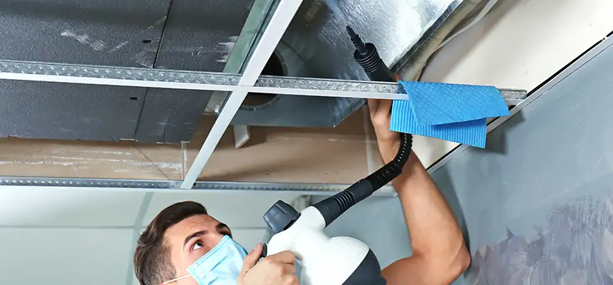 Our Air Duct Rodent Removal Services in St. Peters, MO