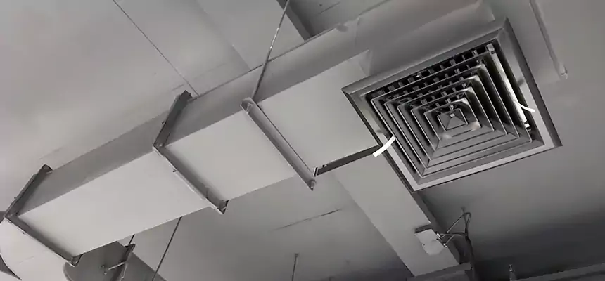 Restorative Allergy Relief Vent Cleaning – Coil, Blower & Housing Detail in St. Peters