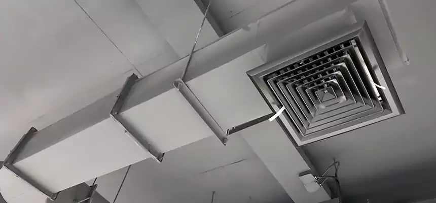 Our Pest Removal From Ducts Services in St. Peters, MO