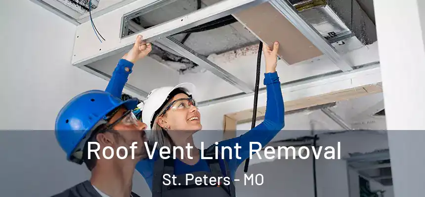  Roof Vent Lint Removal St. Peters - MO
