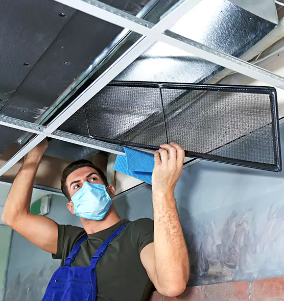 About Air Duct Bacteria Removal in St. Peters