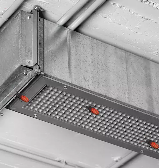 Affordable Insect Removal from Air Ducts in St. Peters, MO