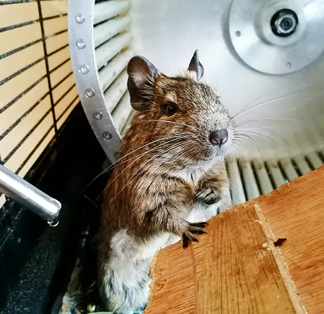 Why Homeowners & Businesses Trust Us St. Peters, MO